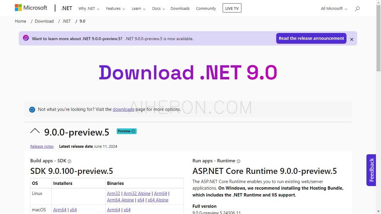 .NET 9 Preview 5