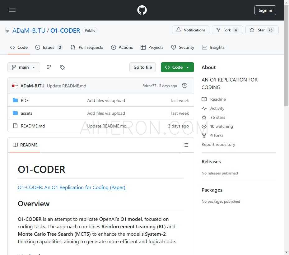 O1-CODER