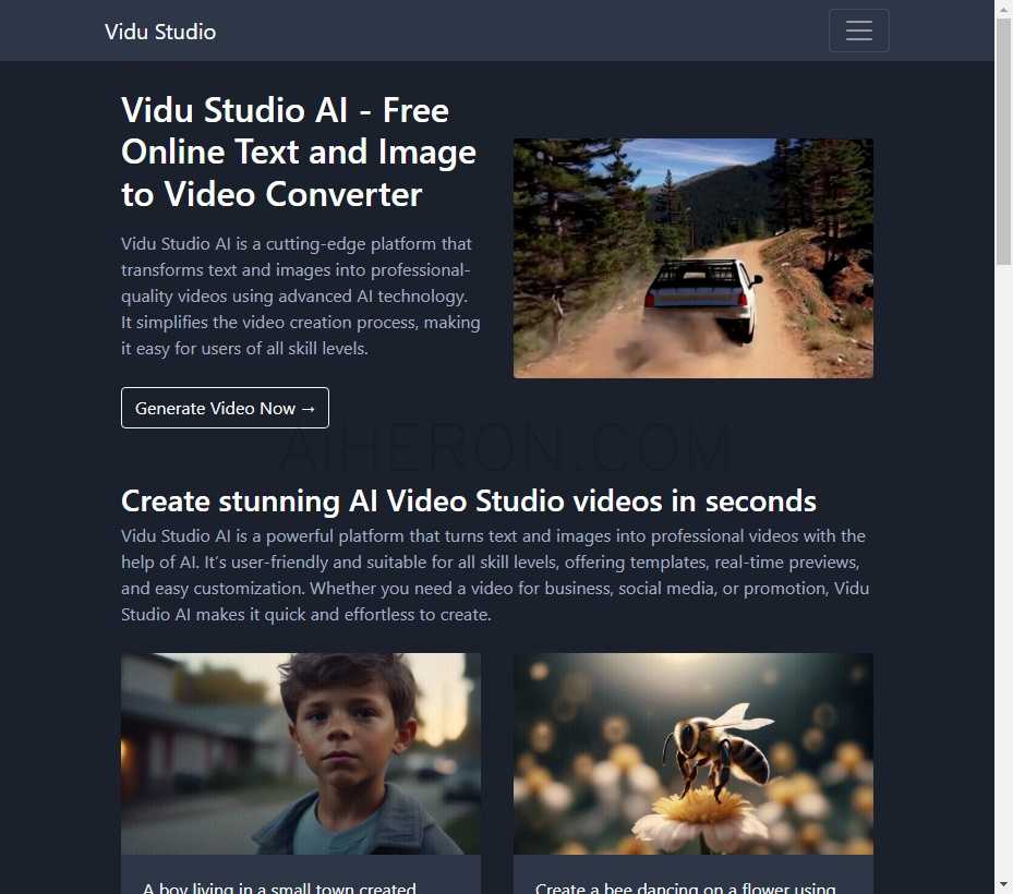Vidu Studio AI
