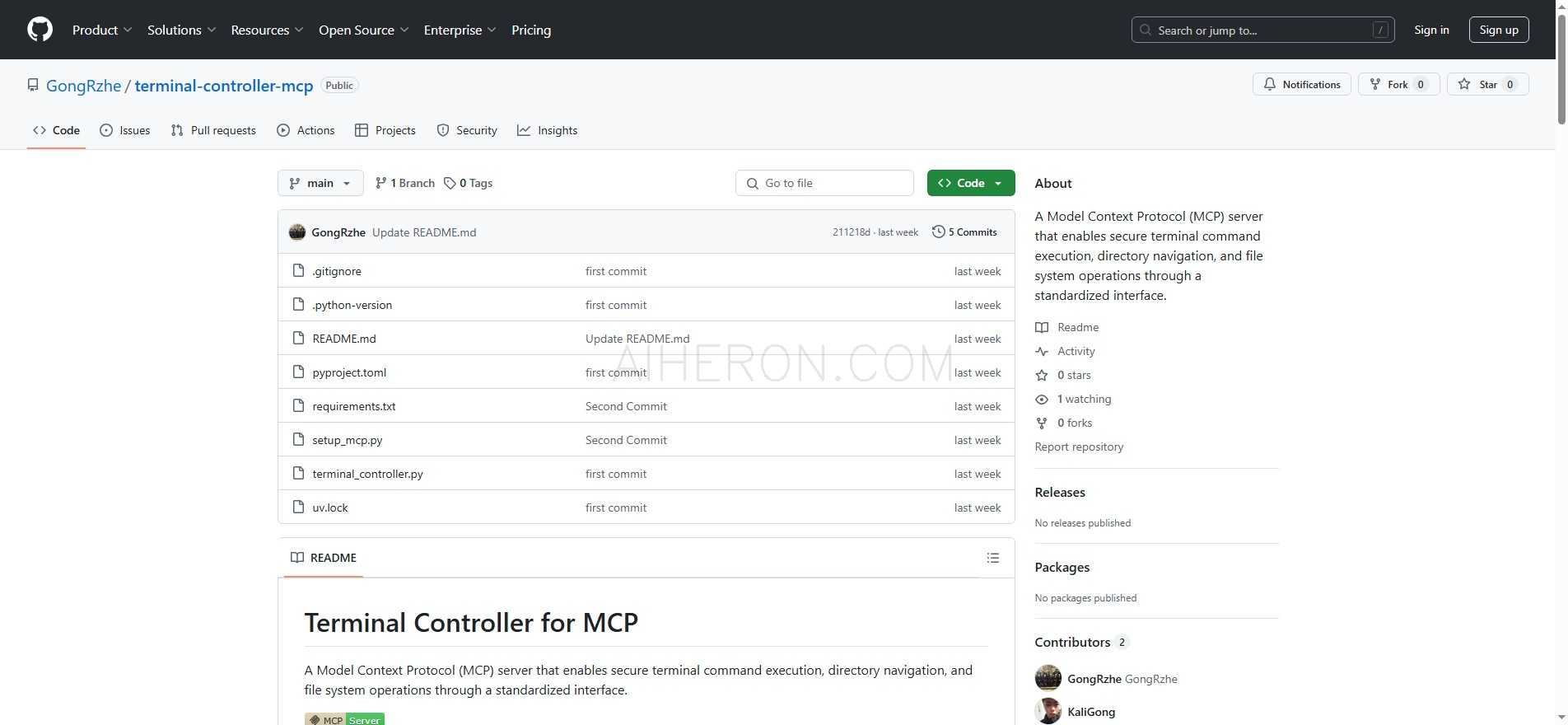 Terminal Controller for MCP