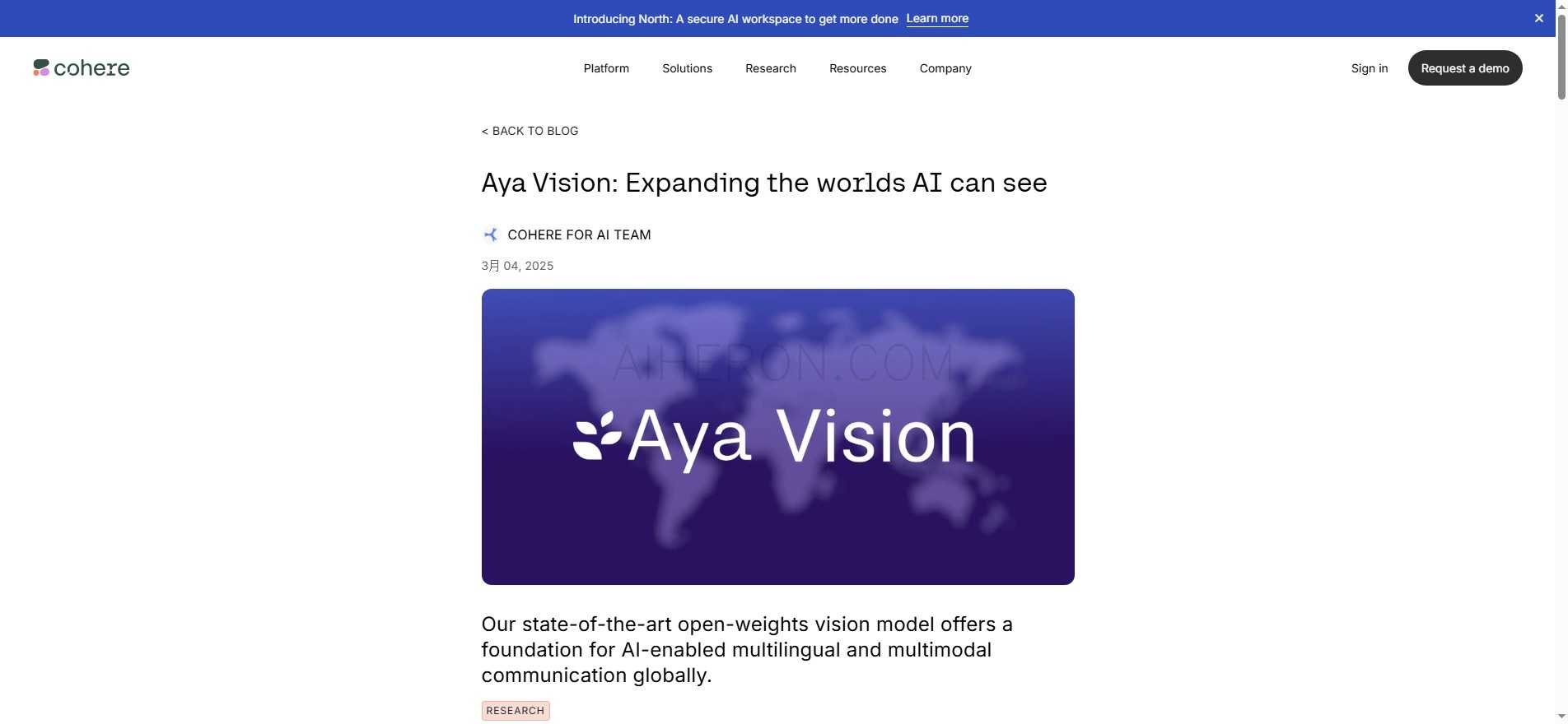 Aya Vision