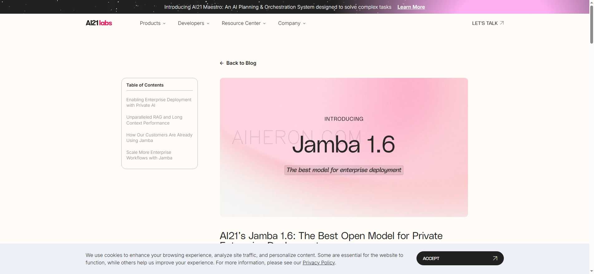 AI21’s Jamba 1.6: The Best Open Model for Private Enterprise Deployment