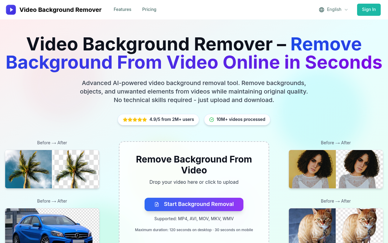 Video Background Remover - Remove Video Background Online Free